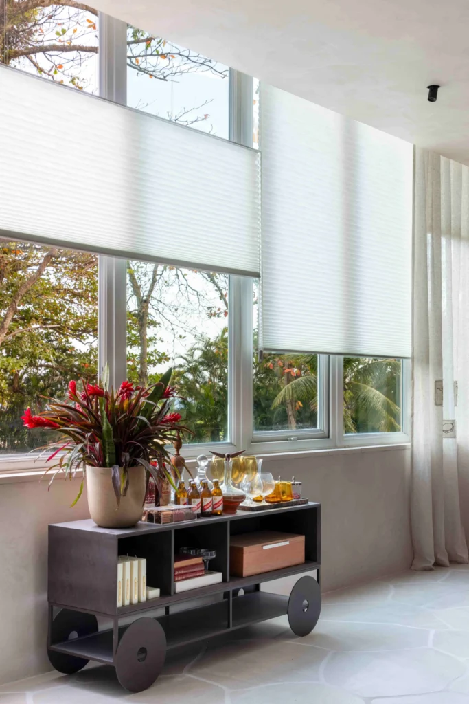 Cortina Duette Duolite scaled 1