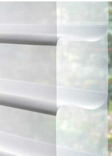 Silhouette-1-1-scaled-qucpx75enmnq29gug95xxyp33nc0es574gnnykoa0i